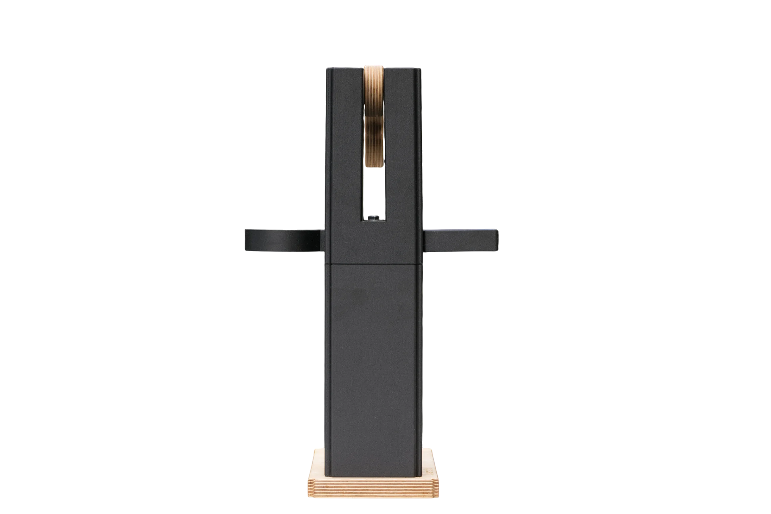 Back view